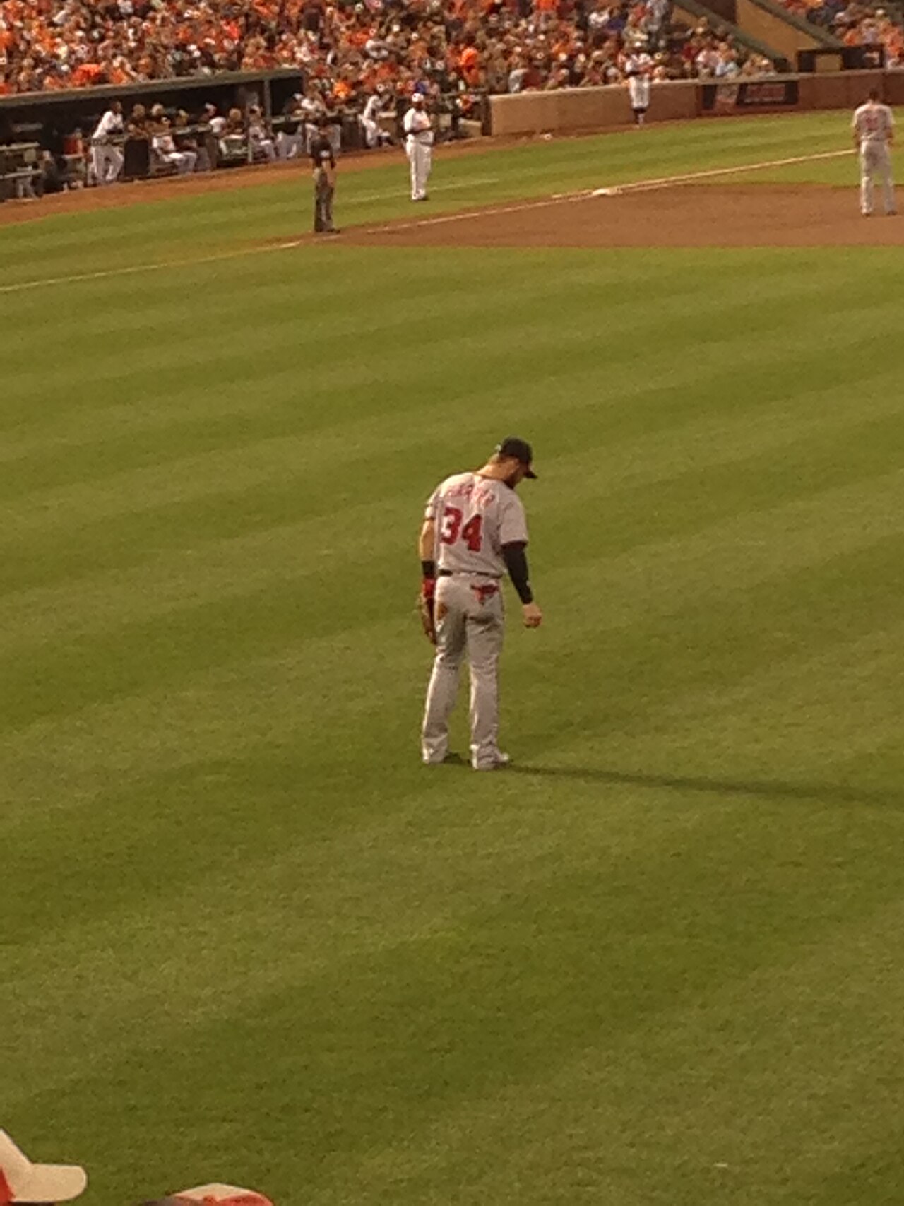 Bryce Harper